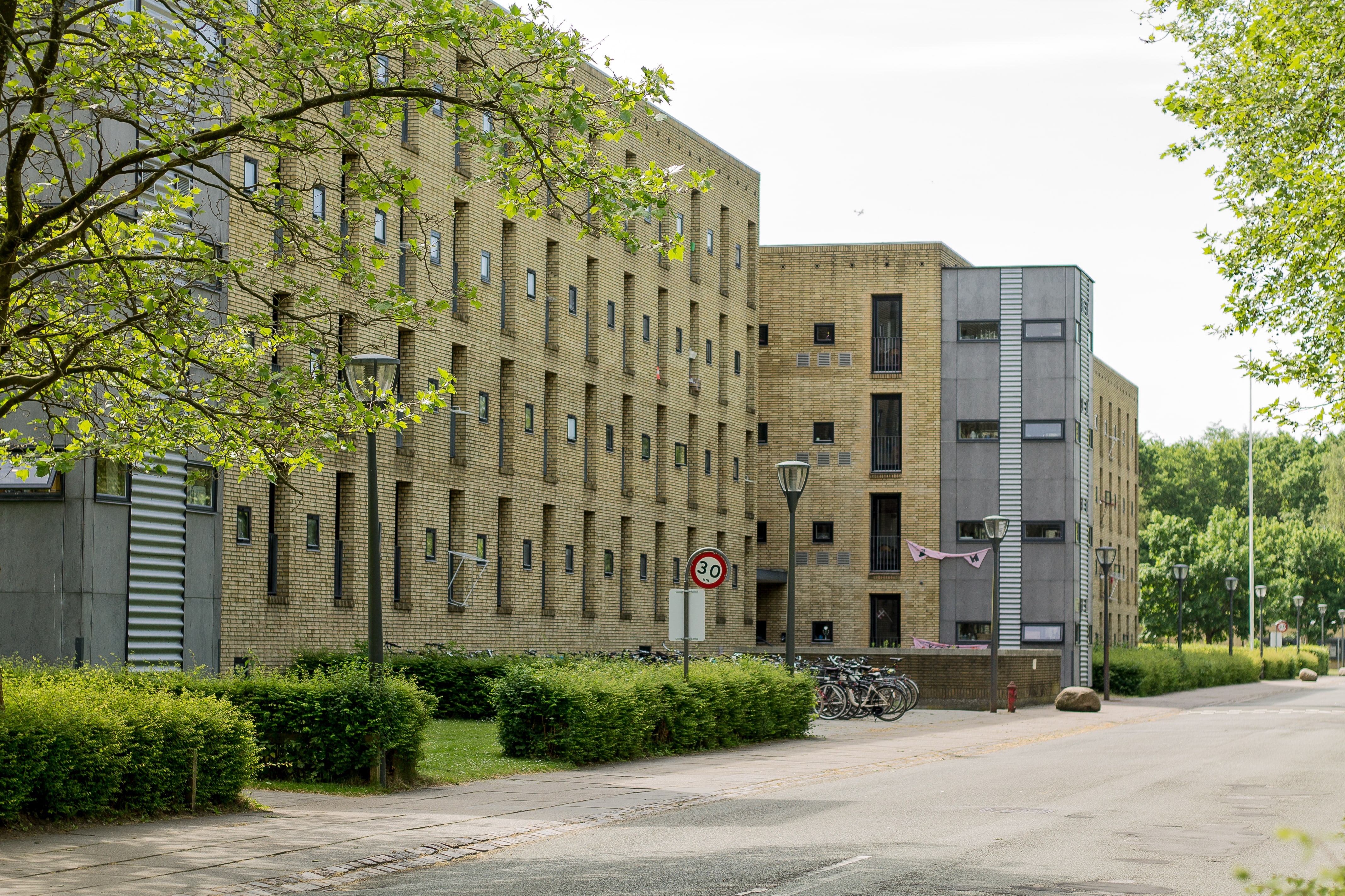 hoc college dorm